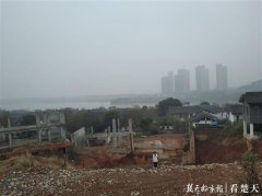 武汉两栋价值超千万元别墅被拆 开发商涉嫌侵占林地被调查