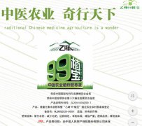 “乙峰99植宝”玉米种植实