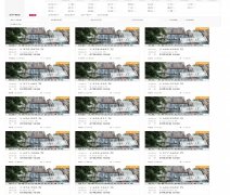 巡视组亮剑广东｜行贿所涉 “亿元资产拍卖中止”背