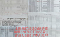 秦皇岛税务干部四处删帖